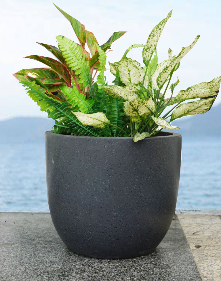 AIRPOT PLANTERS VIETNAM CO., LTD