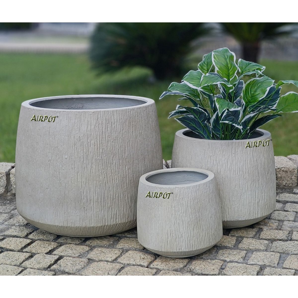 AIRPOT PLANTERS VIETNAM CO., LTD