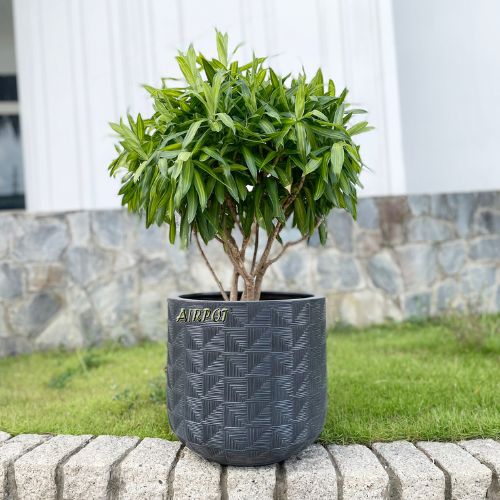 AIRPOT PLANTERS VIETNAM CO., LTD