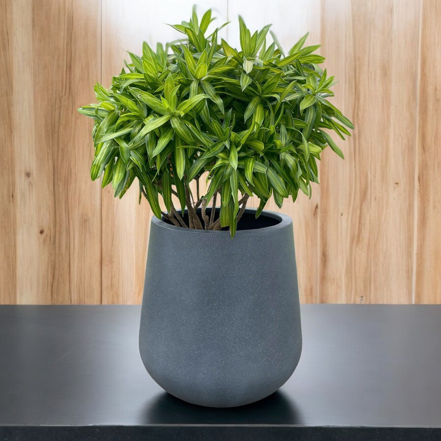 AIRPOT PLANTERS VIETNAM CO., LTD