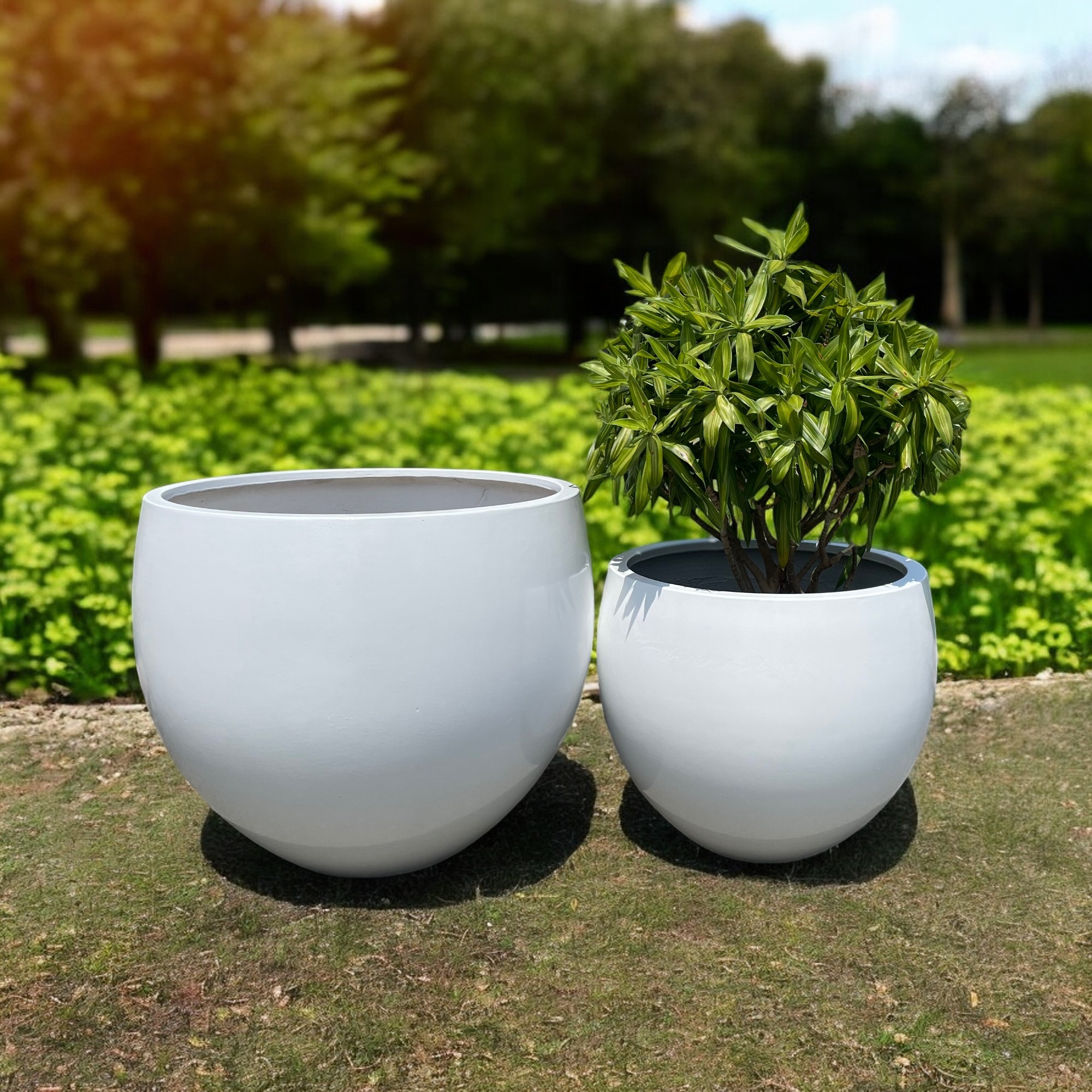 AIRPOT PLANTERS VIETNAM CO., LTD