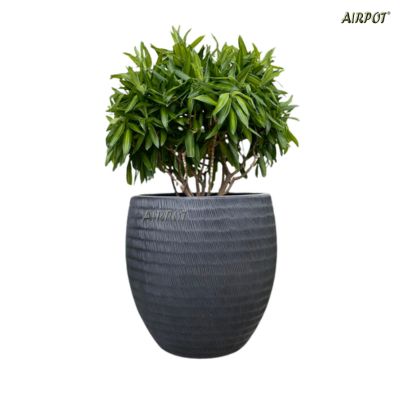 AIRPOT PLANTERS VIETNAM CO., LTD