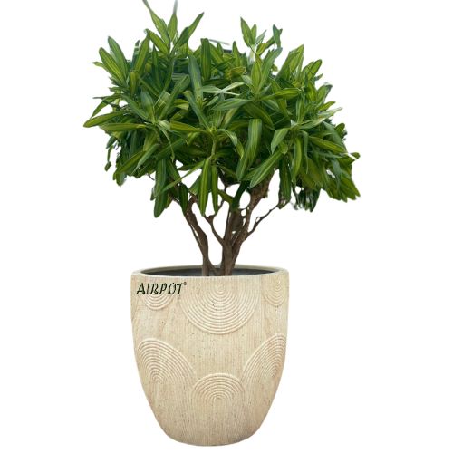 AIRPOT PLANTERS VIETNAM CO., LTD