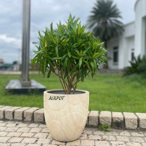 AIRPOT PLANTERS VIETNAM CO., LTD