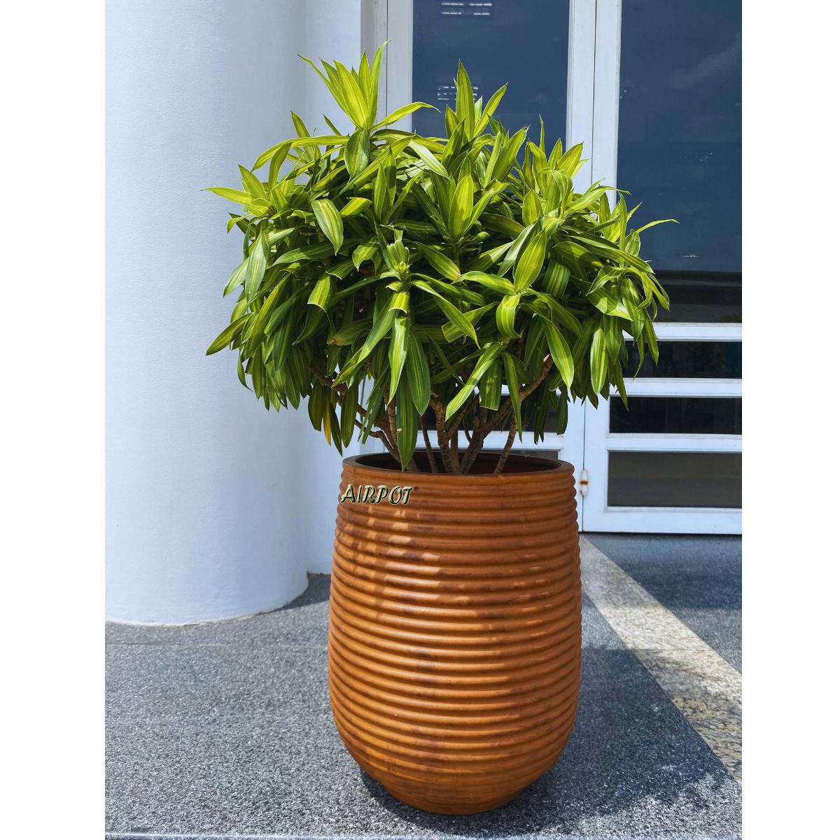 AIRPOT PLANTERS VIETNAM CO., LTD